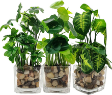 Carica l&#39;immagine nel visualizzatore di Gallery, Satz Von 3 Kunstpflanze Faux aus Tabelle Grün Mit Vasen Im Glas Transparent P
