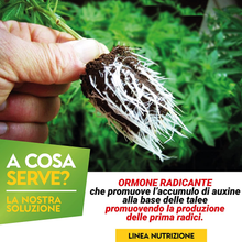 Carica l&#39;immagine nel visualizzatore di Gallery, Hormone L&#39;Enracinement pour Boutures Et Plantes Vert Universelle - Augmente Le
