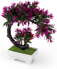 Carica l&#39;immagine nel visualizzatore di Gallery, Plante Intérieur Fnta , Bonsai Artificielles, Petit à Partir De Bureau, Natural

