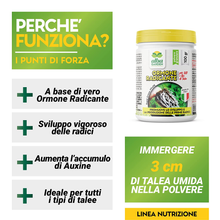 Carica l&#39;immagine nel visualizzatore di Gallery, Hormone L&#39;Enracinement pour Boutures Et Plantes Vert Universelle - Augmente Le
