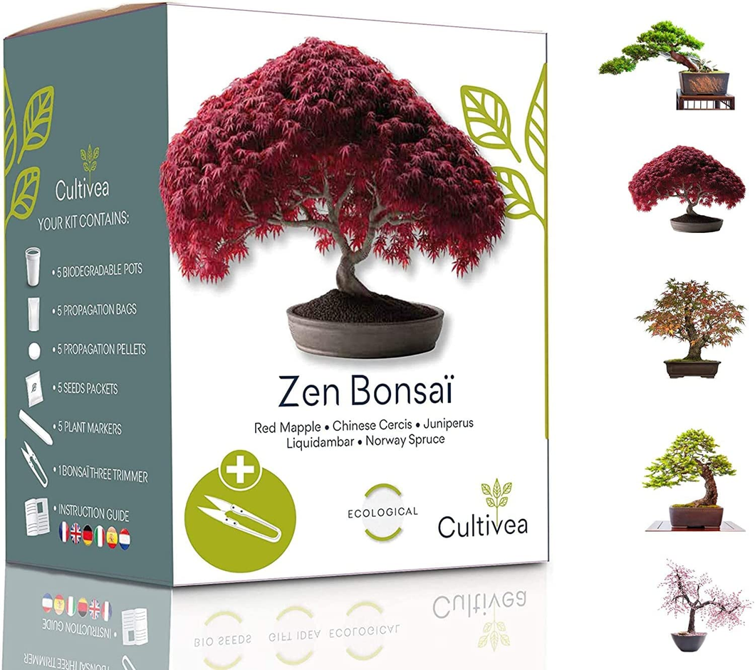 Mini - 5 Bonsai Ready To Grow Ensemble - Graines De Qualité - Jardin &