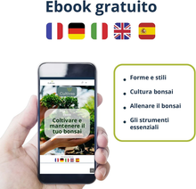 Carica l&#39;immagine nel visualizzatore di Gallery, Mini - 5 Bonsai Ready To Grow Ensemble - Graines De Qualité - Jardin &amp;
