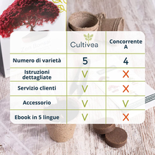 Carica l&#39;immagine nel visualizzatore di Gallery, Mini - 5 Bonsai Ready To Grow Ensemble - Graines De Qualité - Jardin &amp;
