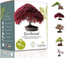 Carica l&#39;immagine nel visualizzatore di Gallery, Mini - 5 Bonsai Ready To Grow Ensemble - Graines De Qualité - Jardin &amp;
