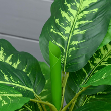 Carica l&#39;immagine nel visualizzatore di Gallery, Pflanze Künstlich Dekorativ Immergrün Mit Vase Φ17X14.5 CM Schwarz für Innenraum
