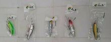 Carica l&#39;immagine nel visualizzatore di Gallery, 5 PEZZI ART spinning pesca mare lago esca artificiale traina spigola serra lucci
