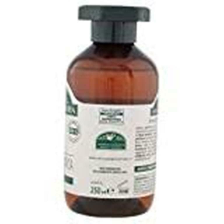 5 PEZZI Shampoo Antica Erboristeria ROSMARINOml250 ANTIFORFORA .VITAM.TOT.LT1,25