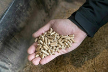 Carica l&#39;immagine nel visualizzatore di Gallery, GOLD  Pellet ENplus A1 AMERICAN  15kg x 25 sacchi TOTALE 375 KG ABETE
