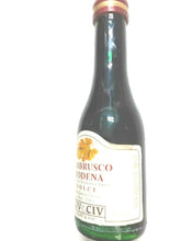 Carica l&#39;immagine nel visualizzatore di Gallery, 6 BOTTIGLIE LAMBRUSCO MODENA DOLCE CL20 BOTTIGLIA PICCOLA ML 200 FRIZZANTE ROSSO
